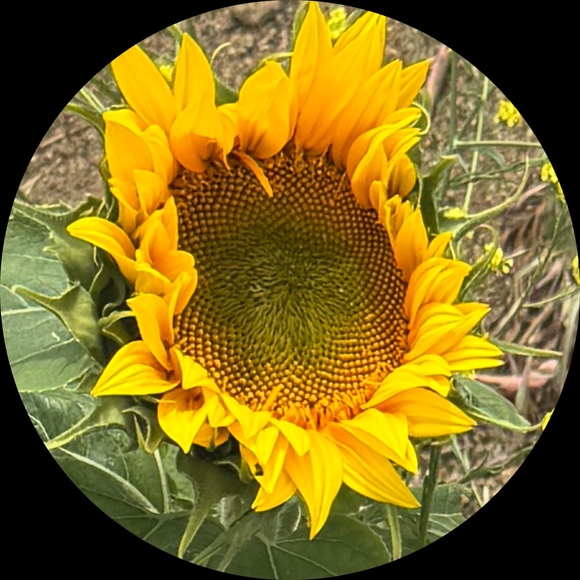 nelle108